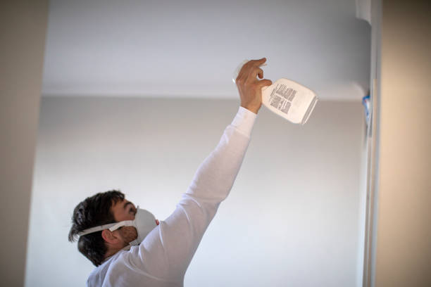 Best Home Mold Removal  in Glendora, CA