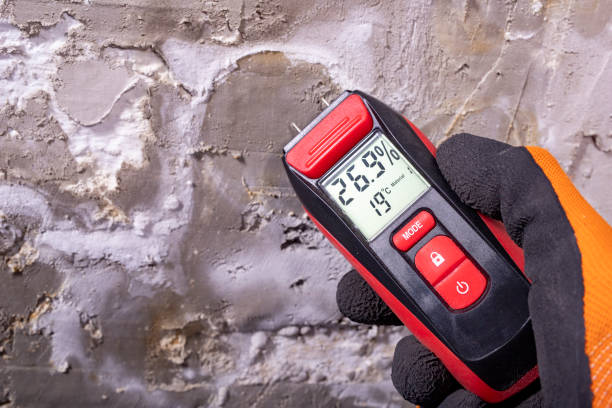 Professional Mold Removal in Glendora, CA