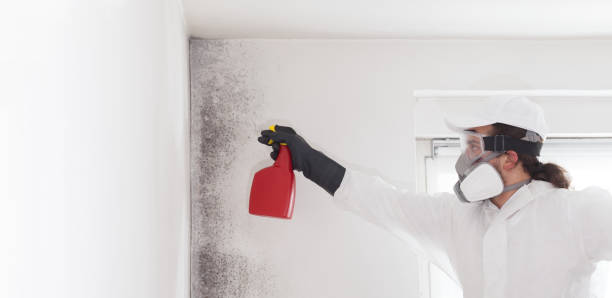 Best Residential Mold Removal  in Glendora, CA